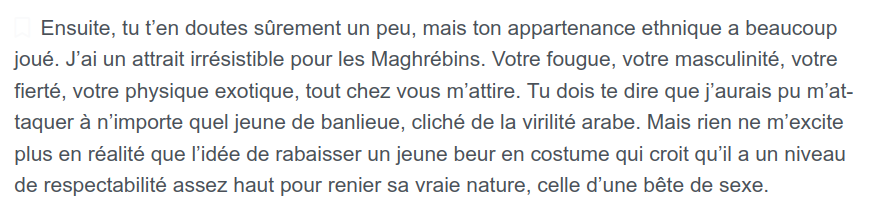 Ensuite, tu t’en doutes sûrement un peu, mais ton appartenance ethnique a beaucoup joué. J’ai un attrait irrésistible pour les Maghrébins. Votre fougue, votre masculinité, votre fierté, votre physique exotique, tout chez vous m’attire. Tu dois te dire que j’aurais pu m’attaquer à n’importe quel jeune de banlieue, cliché de la virilité arabe. Mais rien ne m’excite plus en réalité que l’idée de rabaisser un jeune beur en costume qui croit qu’il a un niveau de respectabilité assez haut pour renier sa vraie nature, celle d’une bête de sexe.